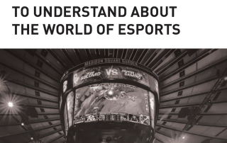 DBLTAP Esports Report for Brands
