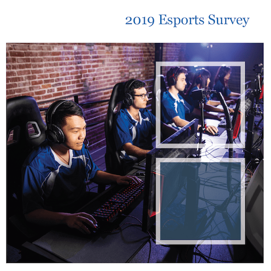 Esports Survey 2019 - Esports Observer