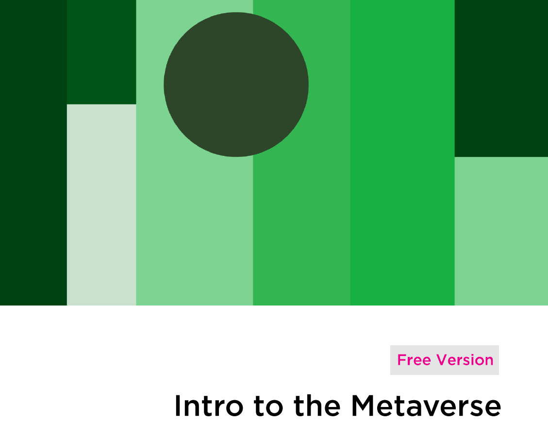 Introduction to the Metaverse Report 2021