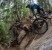 Team CRC Mountain Bike going down a hill in a forest - Sport marketing company
